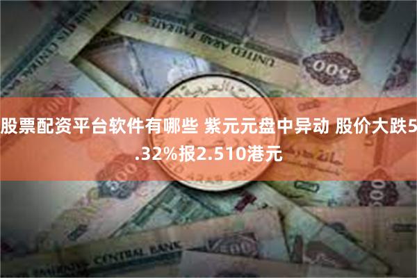 股票配资平台软件有哪些 紫元元盘中异动 股价大跌5.32%报2.510港元