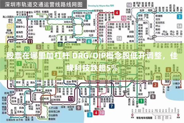 股票在哪里加杠杆 DRG/DIP概念股低开调整，佳缘科技跌超5%