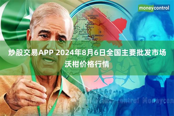 炒股交易APP 2024年8月6日全国主要批发市场沃柑价格行情