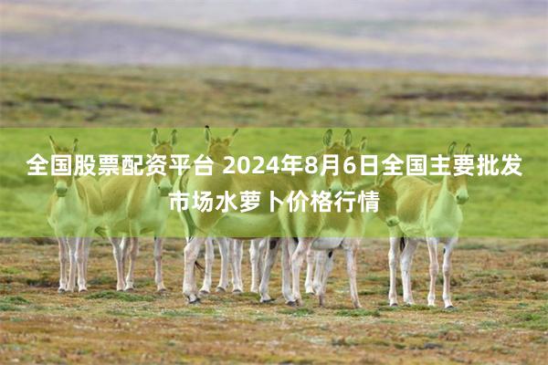 全国股票配资平台 2024年8月6日全国主要批发市场水萝卜价格行情