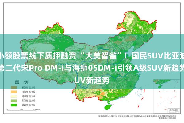 小额股票线下质押融资 “大美智省”！国民SUV比亚迪第二代宋Pro DM-i与海狮05DM-i引领A级SUV新趋势