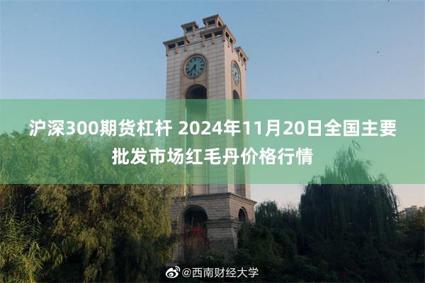 沪深300期货杠杆 2024年11月20日全国主要批发市场红毛丹价格行情