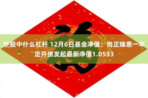 炒股中什么杠杆 12月6日基金净值：尚正臻惠一年定开债发起最新净值1.0533