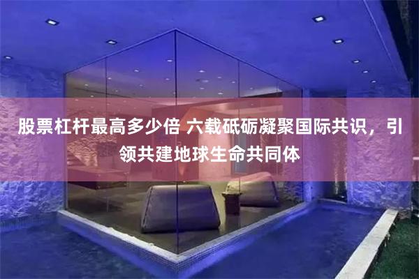 股票杠杆最高多少倍 六载砥砺凝聚国际共识，引领共建地球生命共同体