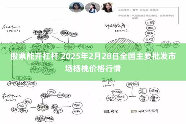 股票能开杠杆 2025年2月28日全国主要批发市场杨桃价格行情